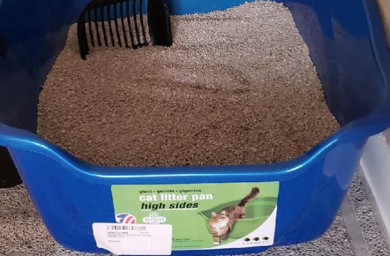 Best NonTracking Cat Litter For A Cleaner & Healthier Home