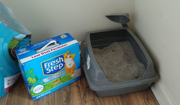 dust free cat litter