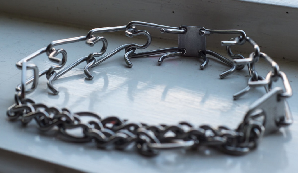 How Should You Place A Prong Collar On A Dog? WAF