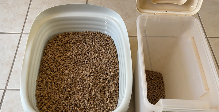 How Often To Change Cat Litter Everything You Need To Know