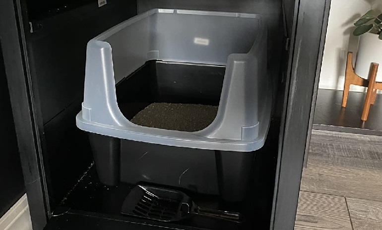 small litter box for kittens