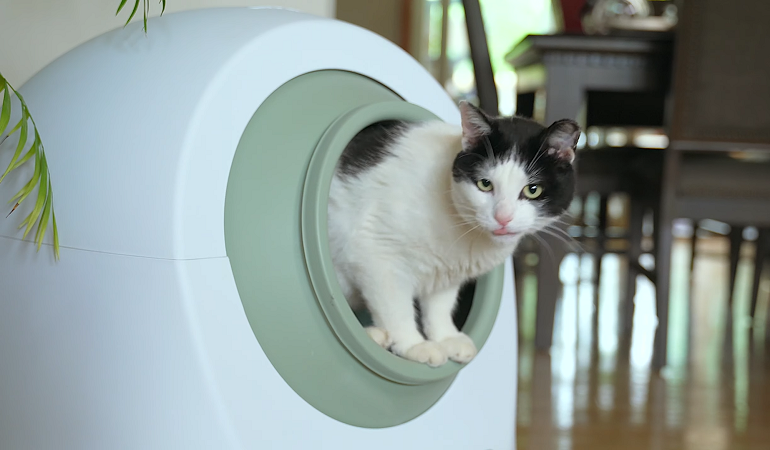 best litter box for multiple cats