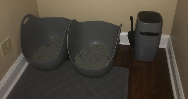 litter box with lid