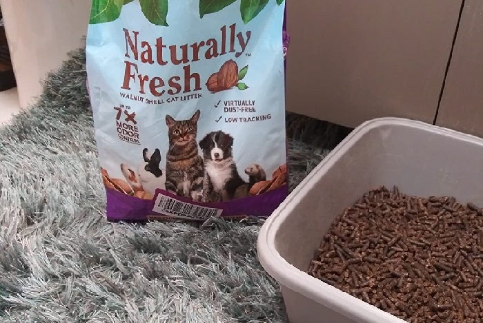 best cat litter for odor control and dust-free