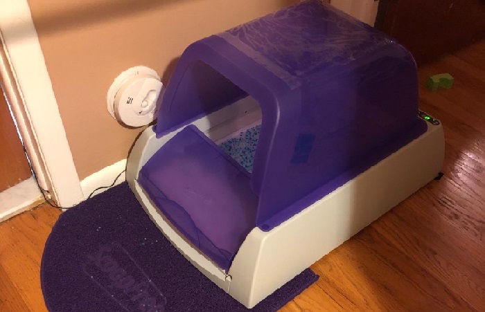 best self cleaning litter box