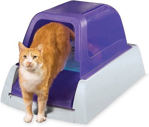 Best electric litter outlet box for multiple cats