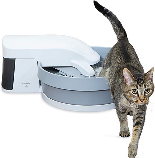 Best kitty litter on sale for automatic cat boxes