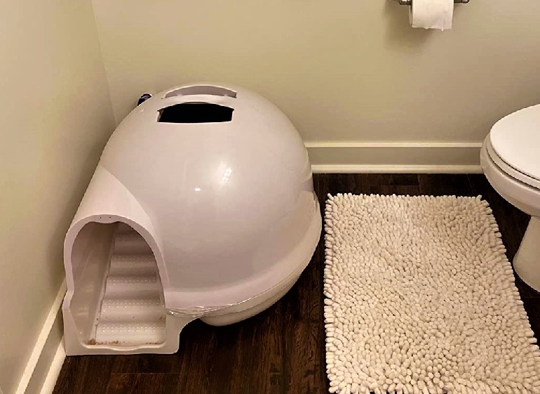 best litter box for cats
