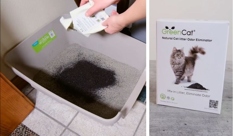 cleaning cat litter box