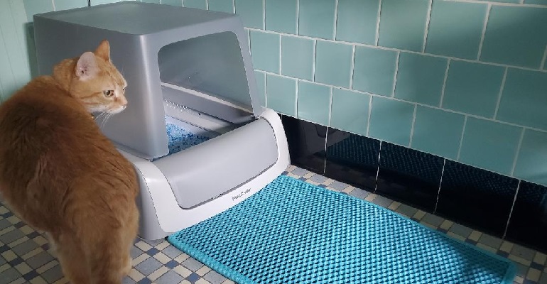 automatic litter box