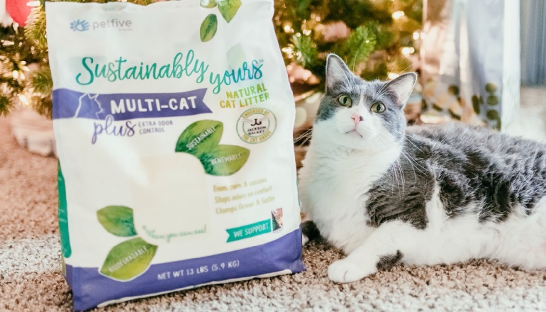 world's best flushable cat litter