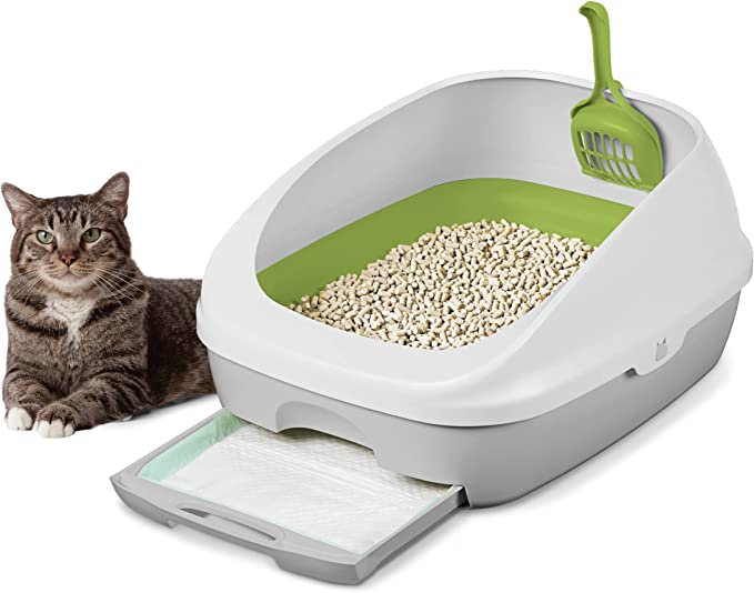 tidy cats cedar pine and corn review