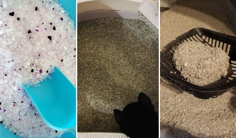 how often do you clean litter box