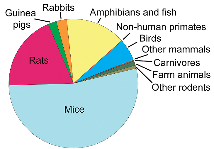 lab animal testing