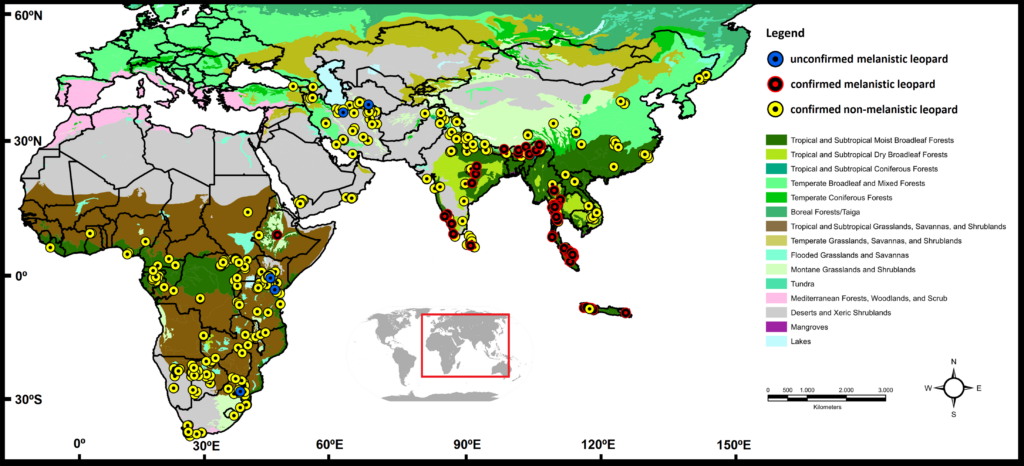 black panther habitat map