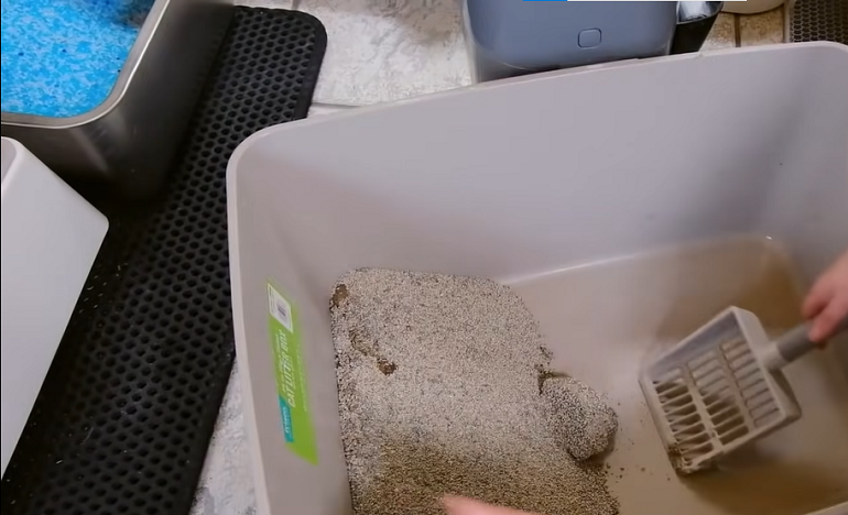 how often do you clean a litter box