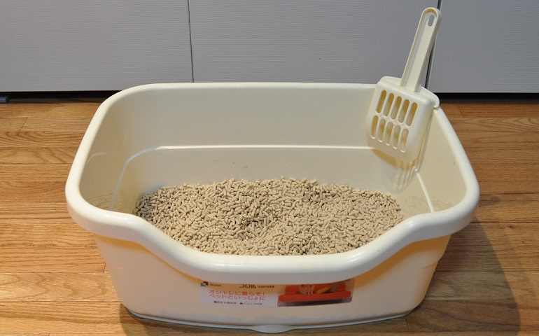 where to put cat litter box