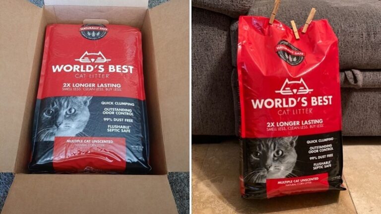 world-best-cat-litter-