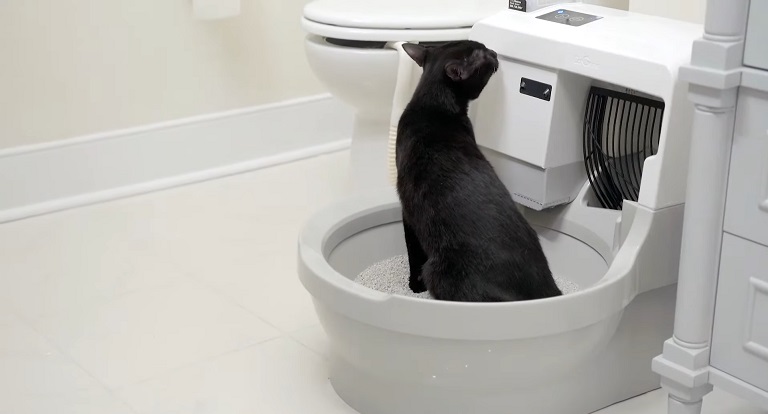 Automatic Litter Box