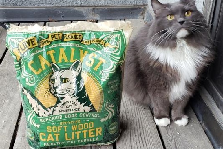 cat litter subscription
