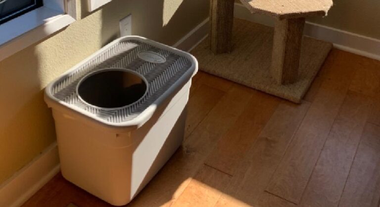 top Entry litter box
