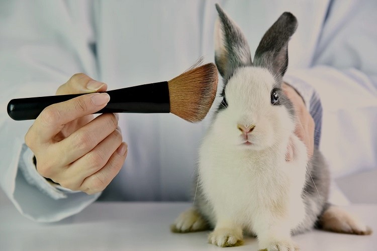 how many animals die from animal testing