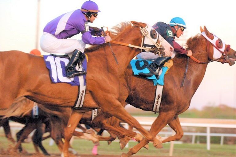 Is Horse Racing Cruel? Plus Why You Shouldn’t Support It?