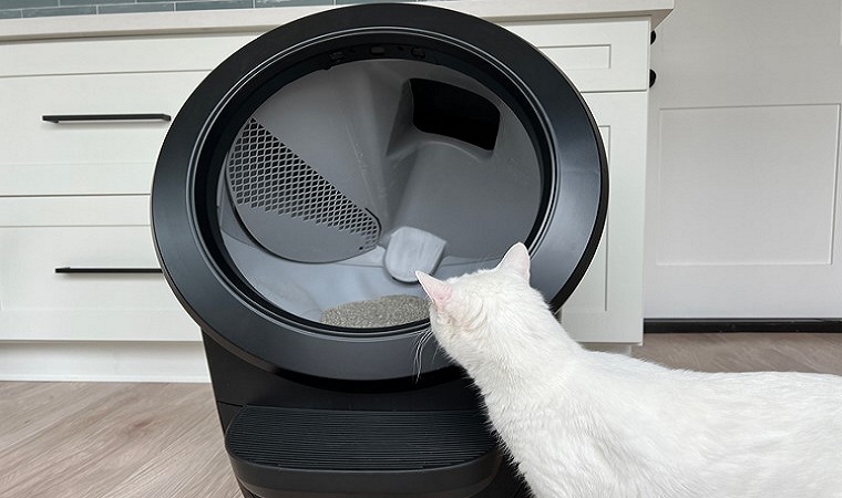 litter robot setup