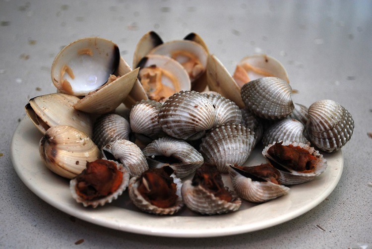 What are clams called 2024 in australia