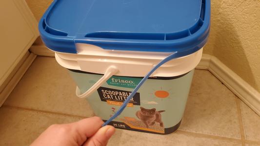 best cat litter for odor control