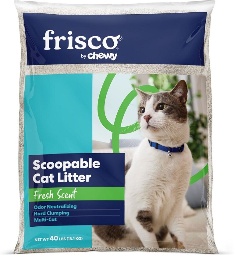 Best Cheapest Cat Litter Affordable But Still Quality!!
