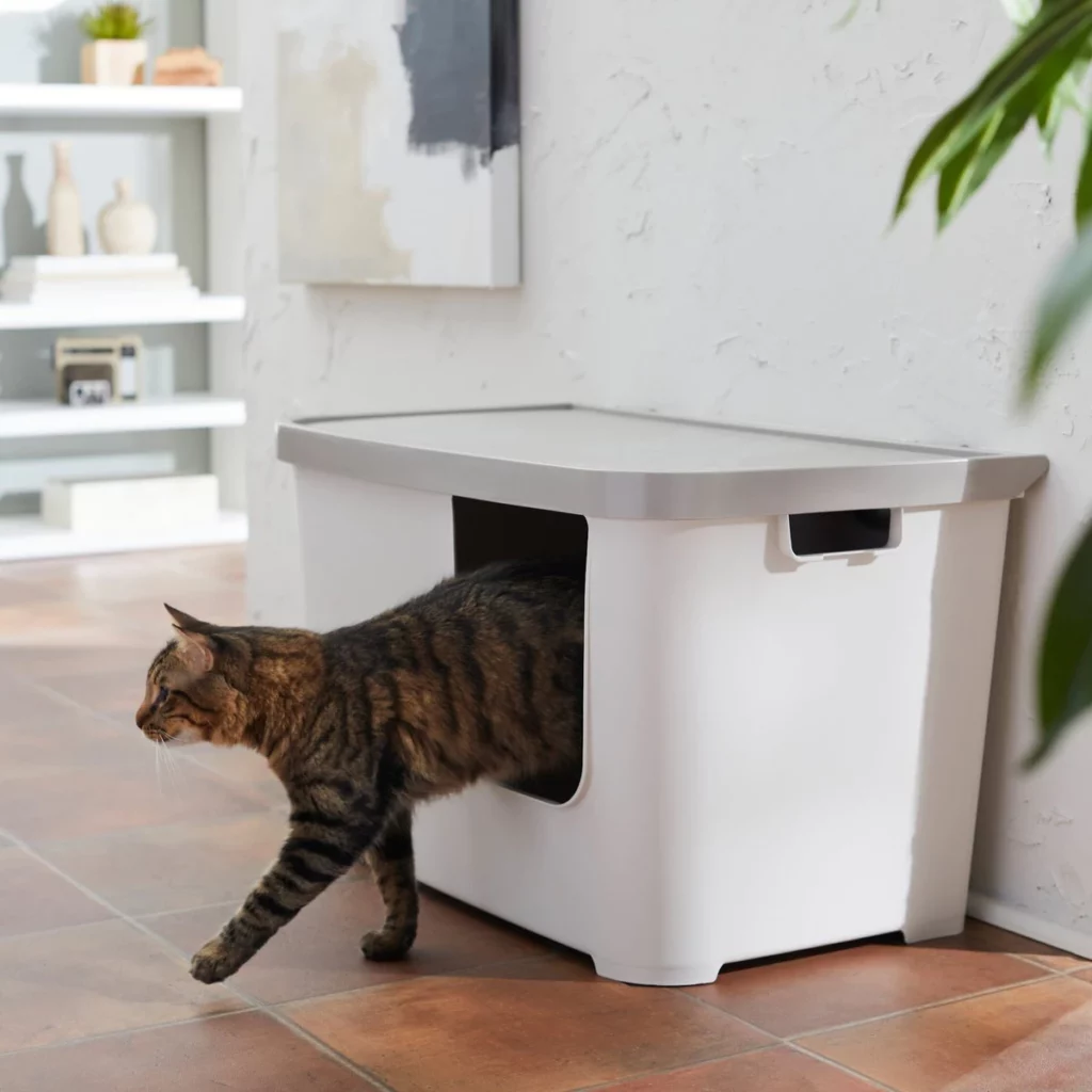 litter box for small space