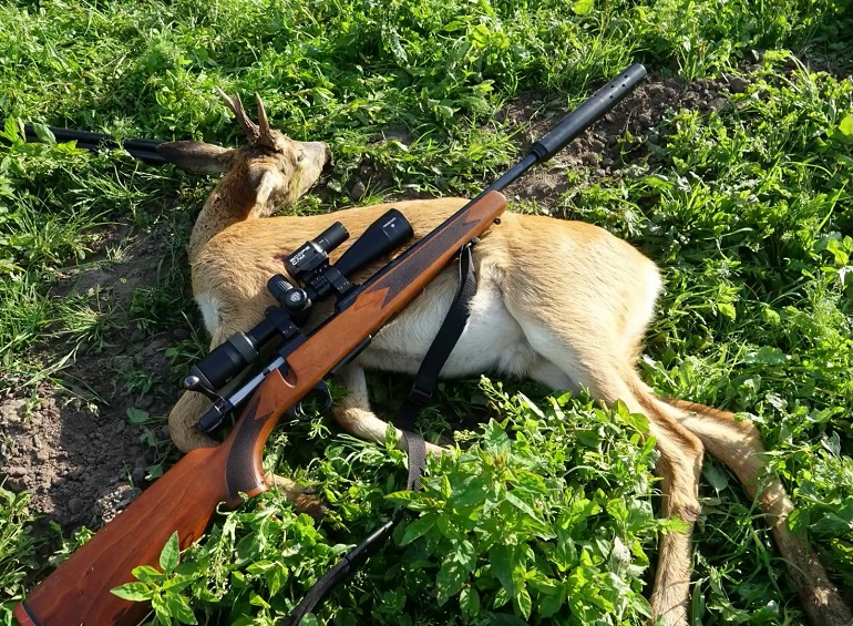  Fewer bucks harvested