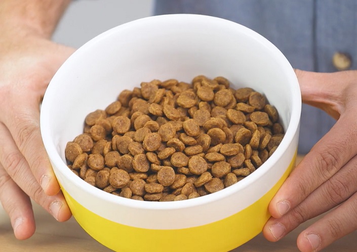 husky dog food