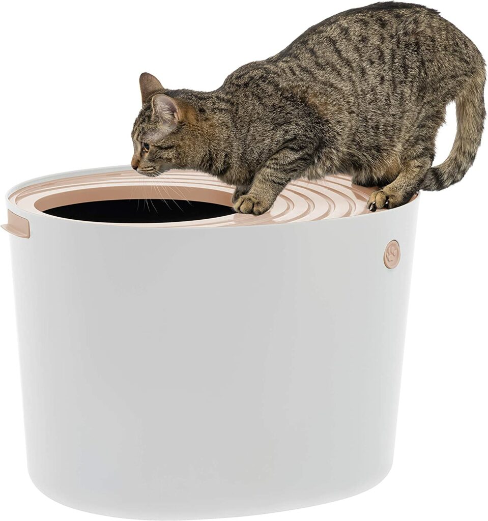 small space litter box
