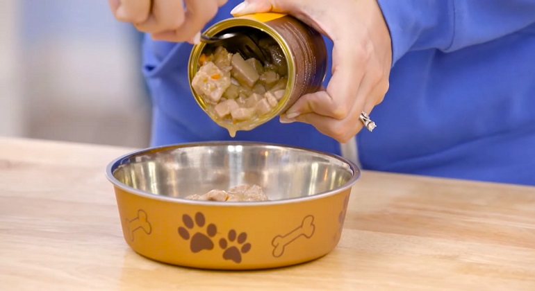 husky dog food