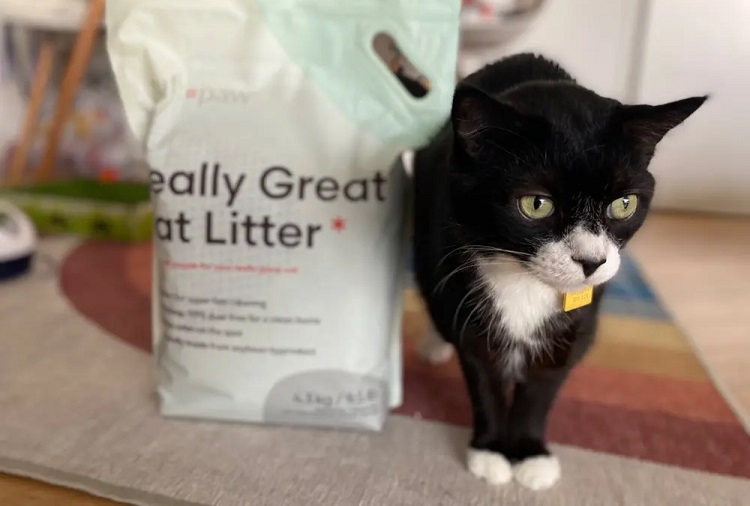 pellet cat litter reviews