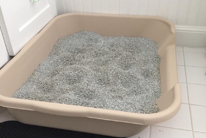 large litter box for multiple cats