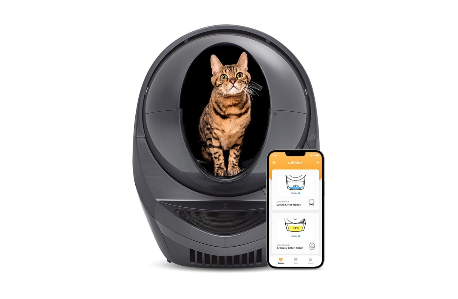 Senior Cat Litter Box Accessible Solution For Old Kitties
