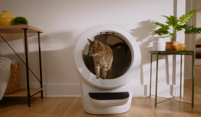 litter boxes for two cats