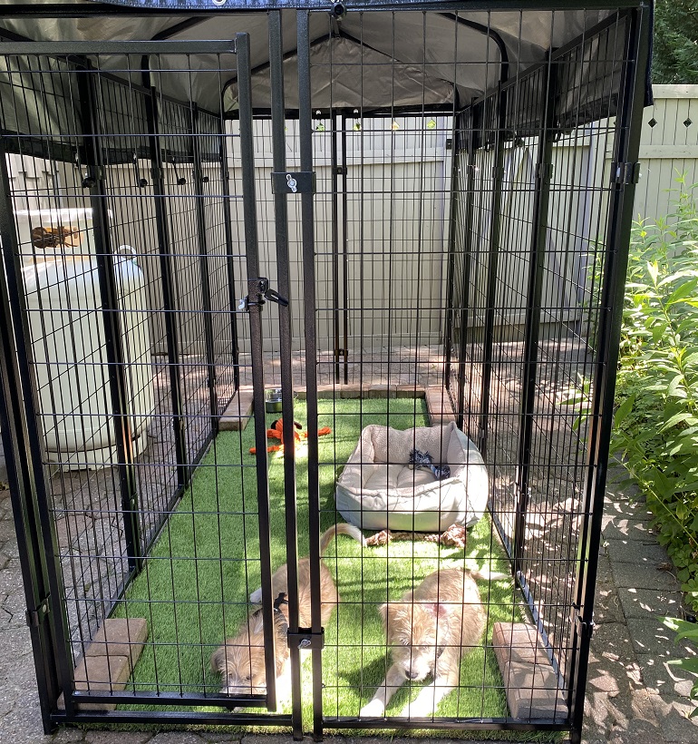 Best indoor kennel for large cheap dogs