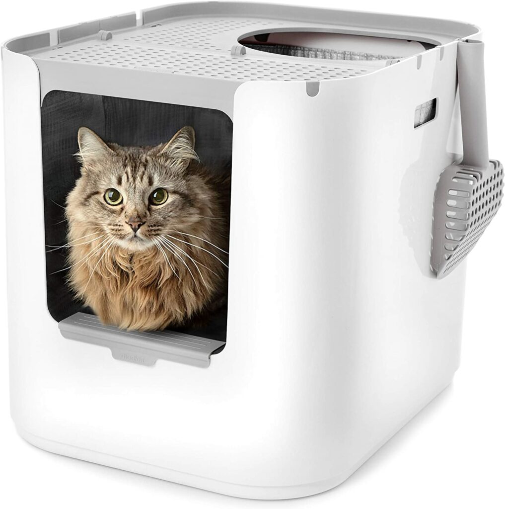 litterbox for small spaces
