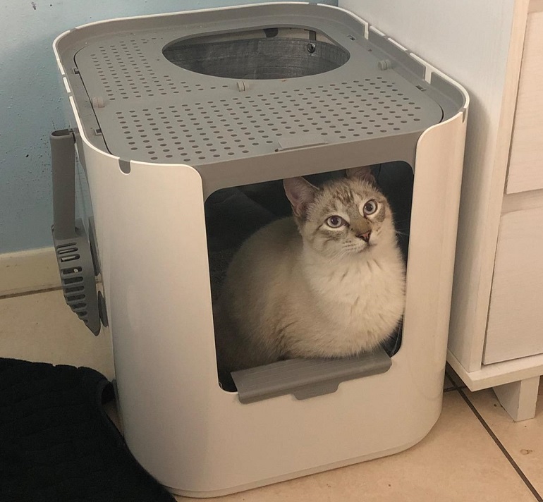 litter box for small spaces
