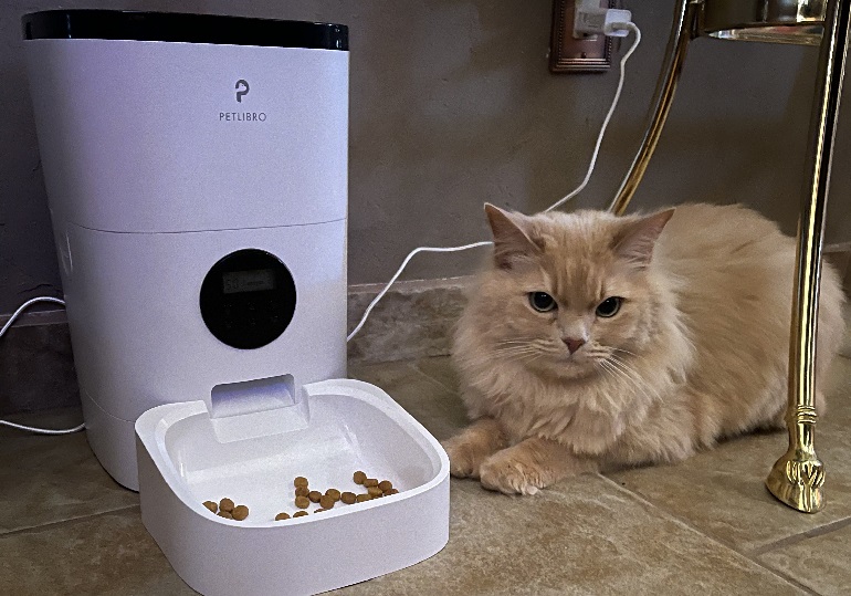 automatic pet feeder