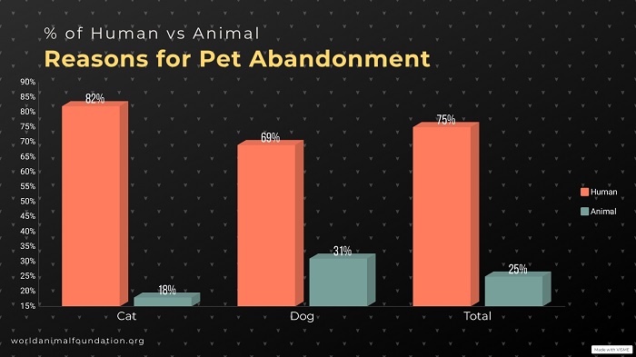 Pet Abandonment Statistics-review