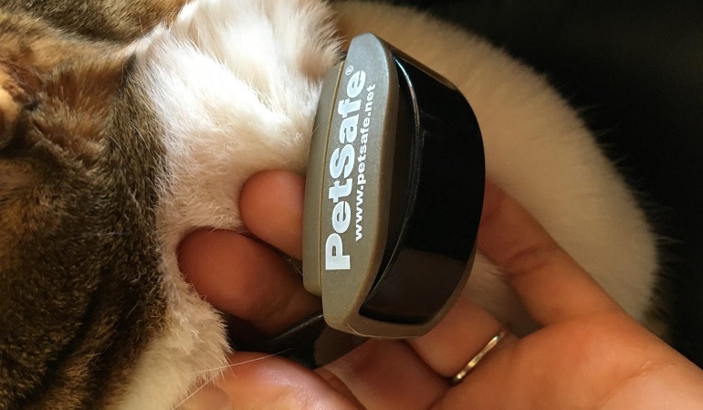 Petsafe wireless 2024 fence for cats