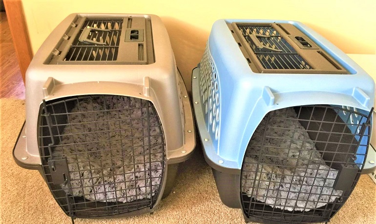 Pet Kennel