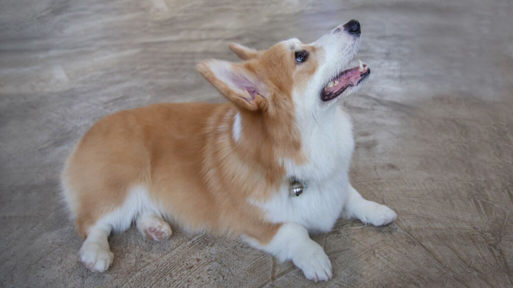 Relationship with Family