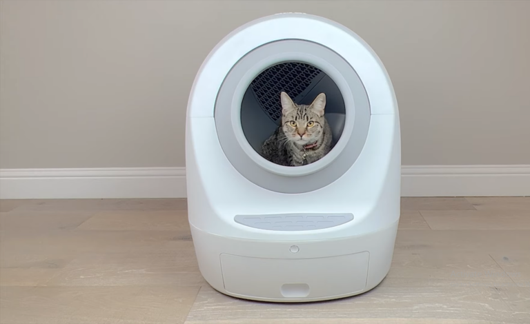 Jackson galaxy litter clearance robot