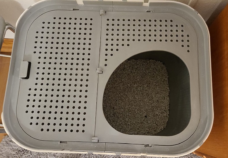 litter box subscription
